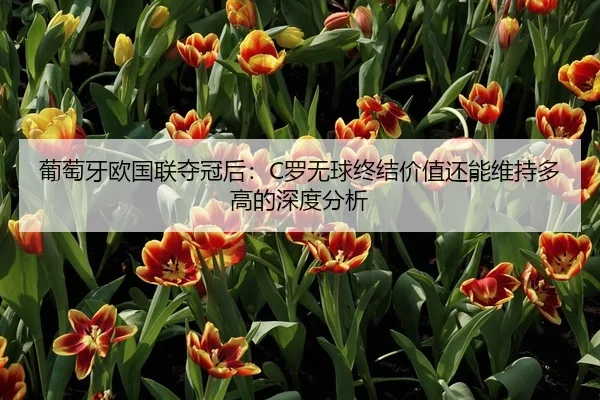 葡萄牙欧国联夺冠后：C罗无球终结价值还能维持多高的深度分析